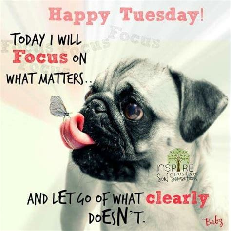  Invajy. . Tuesday morning quotes funny